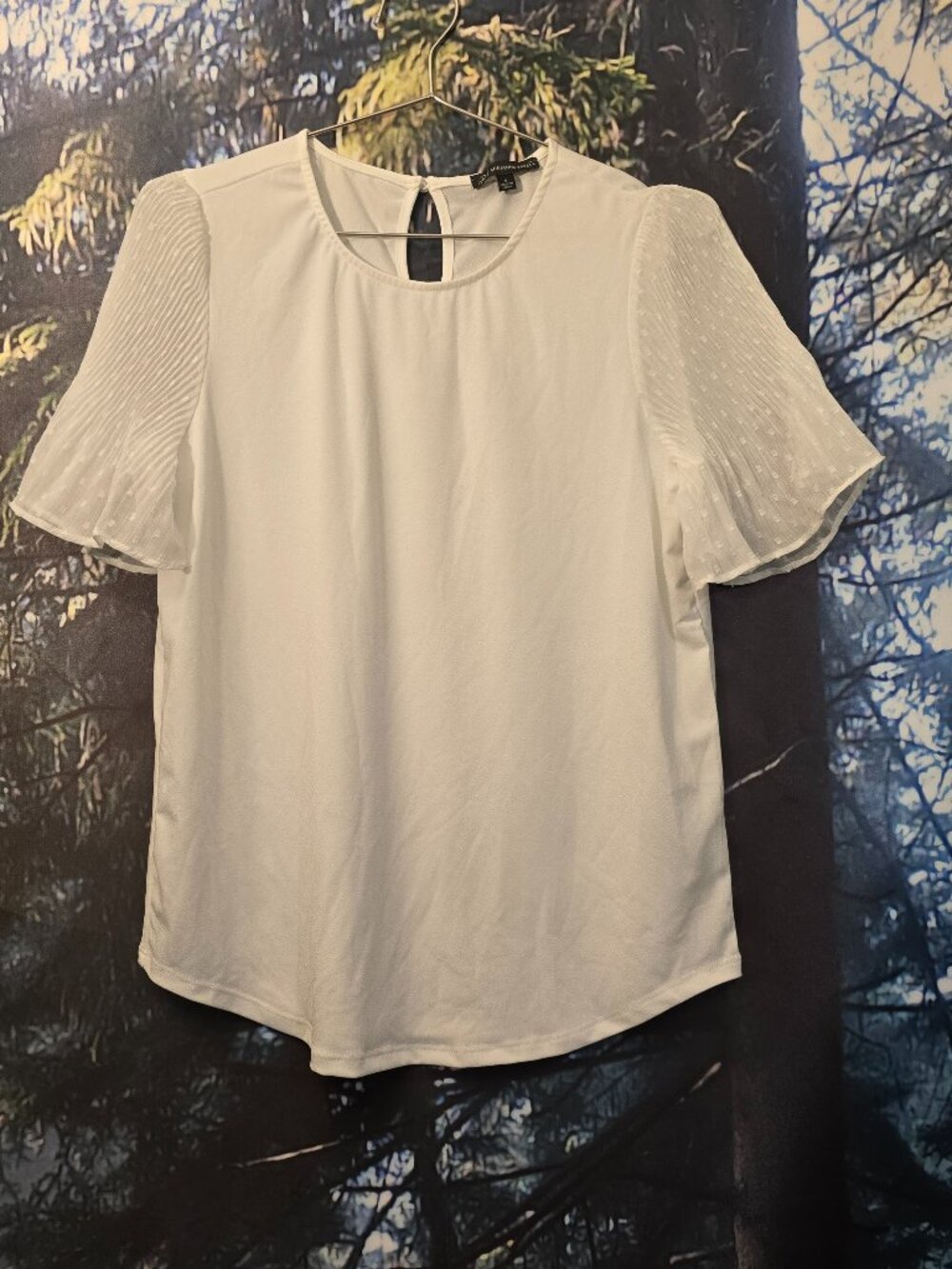 Adrianna Papell Womens Blouse Small White Sheer Sleeve Keyhole Back Top